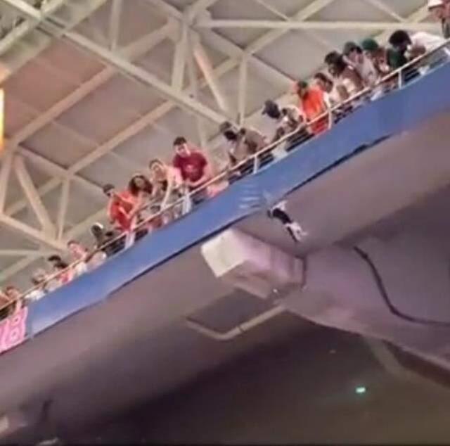 Tribünden aşağıya düşen kedinin mucize şekilde hayatta kalması seyircileri sevince boğdu