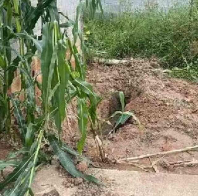 Brezilyalı YouTuber misafir olduğu komşusuyla cinsel ilişkiye girerken öldü