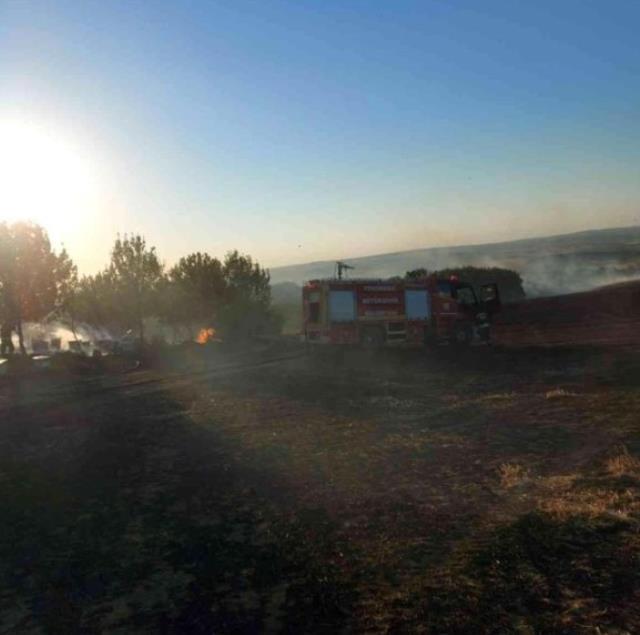 Anız yangını kovanlara sıçradı, binlerce arı diri diri yandı