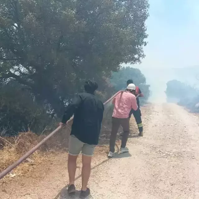 Havalar ısındı, kabus yeniden başladı! Bodrum'daki yangına acilen müdahale edildi