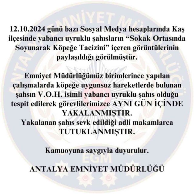Antalya'da yabancı uyruklu 2 şahıs sokak köpeğine tecavüz etmeye kalkıştı