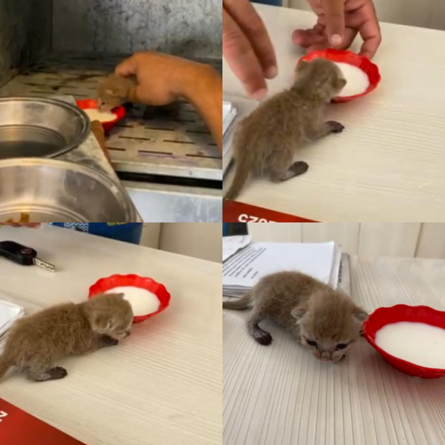 En mutlu günlerinde küle dönen evlerinden mucize çıktı