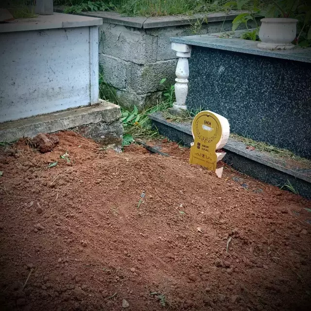 Sinem'i katleden cani cezaevinden mektup yolladı: Suç işlemeyi göze alarak bunu yapacağım