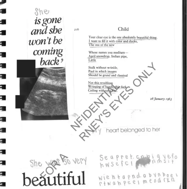 Epstein'ın gizli çocukları var mı? Ultrason görüntüsü de dosyadan çıktı