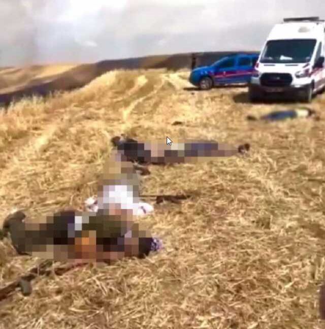 Son Dakika! Diyarbakır'da arazi kavgası: 9 ölü, 2 yaralı