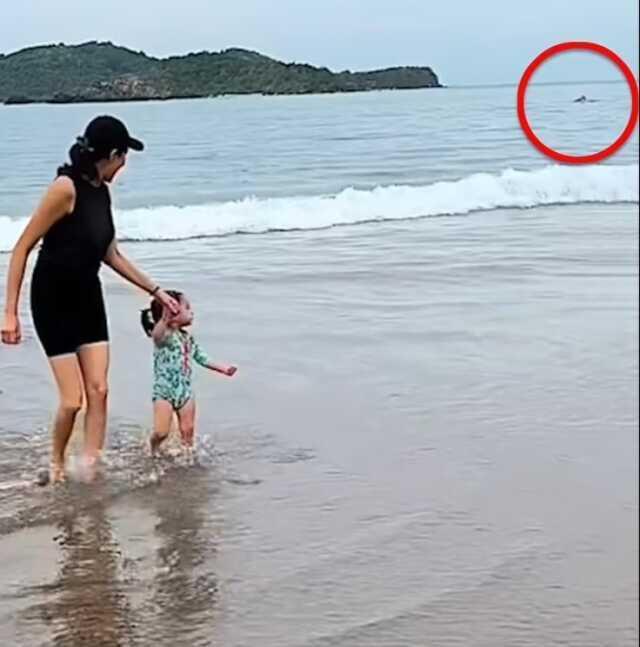 Çift, kızlarının doğum günü için plajda çekim yaparken tesadüfen köpek balığının yaşlı adamı öldürdüğü anları kaydetti