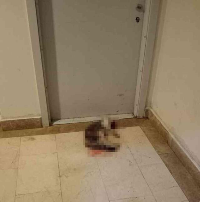 Adalet Bakanı Tunç'tan 'Eros' davası açıklaması: Cumhurbaşkanımız beni arayıp 'Nasıl olur böyle bir şey?' dedi