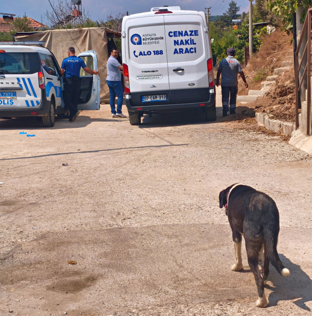 Gürültüyü 'mama kabı devrildi' zannettiler, acı gerçek sabah ortaya çıktı