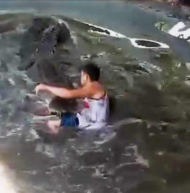 Heykel sandığı gerçek timsahın saldırısına uğrayan turist ağır yaralandı