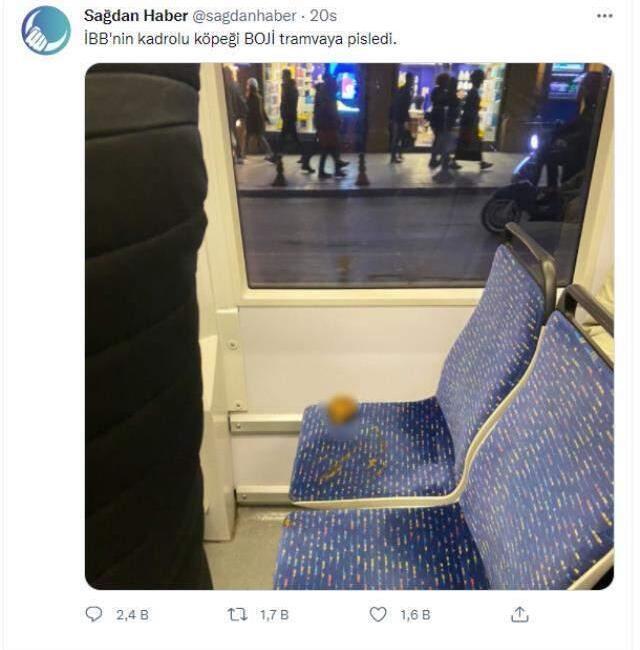 Köpek Boji'ye kumpas kuran kişiye suç duyurusunda bulunulacak