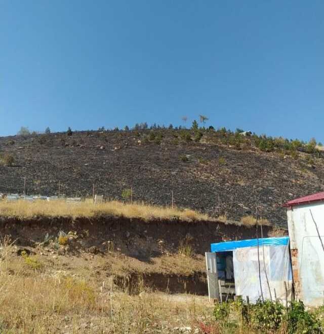 'Çocukluk hayalim' dediği fidanlar yanmasın diye hayatını kaybetti