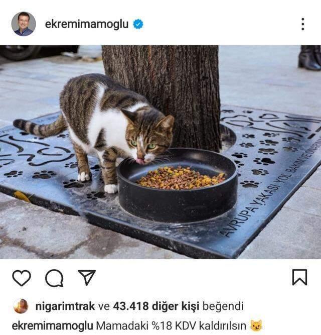 Hayvanseverler fiyatlardan şikayetçi! 'Mamalarda yüzde 18 KDV kaldırılsın' kampanyasına İmamoğlu da destek verdi