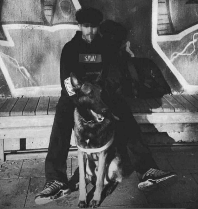 Sur canisinin şokunu atlamadan 'Bari onu kurtaralım' çığlığı: Senin kafanı keserim