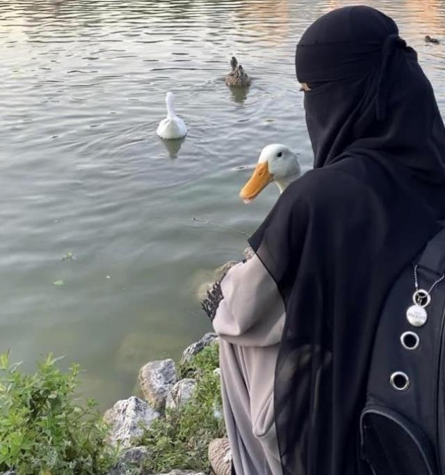 Bahçeşehir'deki ördekleri çantasına koydukları iddia edilen kadın yaşananları anlattı