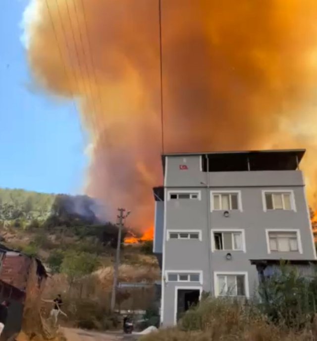 Bursa'da orman yangını! Alevler evlere sıçradı