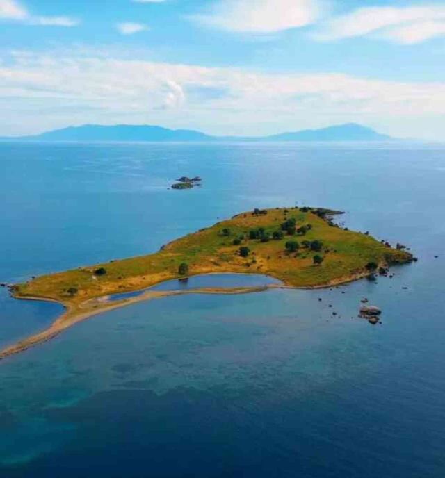 İzmir'deki yangında Çiçek Adası'nın tamamı küle döndü