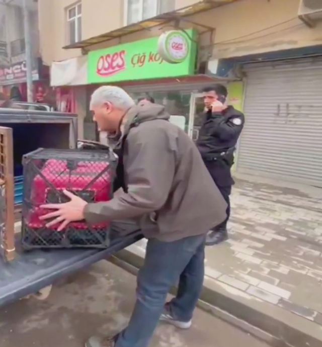 İstanbul'da çatıdan çatıya atlayan maymun ortalığı birbirine kattı