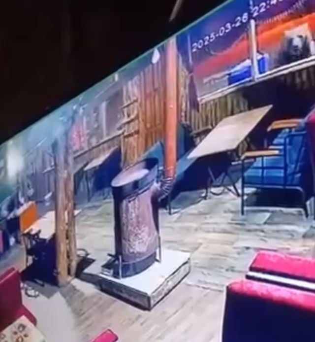 Uludağ'da Ayı İşletmeye Girdi, Masaları Devirdi