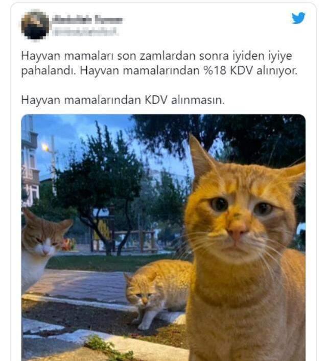 Hayvanseverler fiyatlardan şikayetçi! 'Mamalarda yüzde 18 KDV kaldırılsın' kampanyasına İmamoğlu da destek verdi