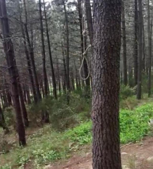 Sosyal medyada yayın açıp ' Allah'ın yanına kavuşmak istiyorum' diyerek intihar etti