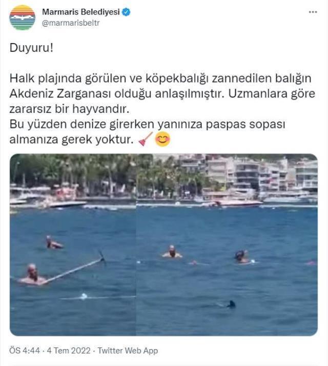 Marmaris'te aniden ortaya çıkan köpekbalığı panik yarattı, vatandaşlar kafasına paspasla vurdu