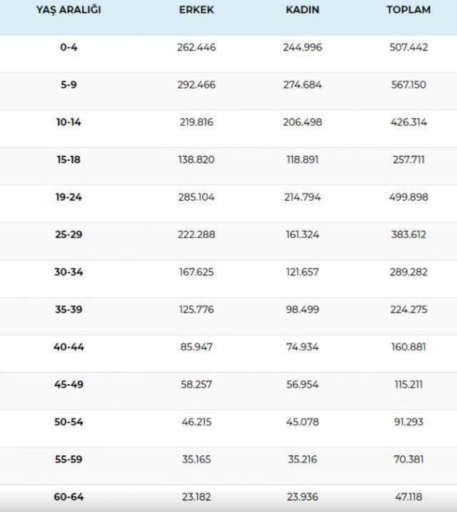 Rakamlar güncellendi! İşte Türkiye'de en çok Suriyelinin yaşadığı 3 ilimiz