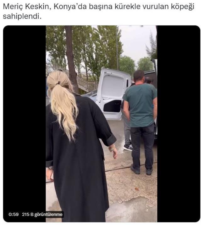 Konya'da başına kürekle vurulan köpeğin yaşadığı iddiası yanlış