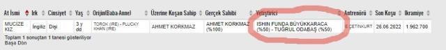 Işın Karaca'nın yetiştiriciliğini yaptığı Mucize Kız isimli at, Gazi Koşusu'nda 2. oldu