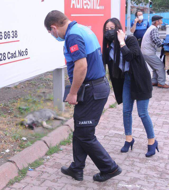 Vicdansızlıkta sınır tanımadılar! Gözlerini oydukları köpeğin, çenesini sert cisimle kırdılar
