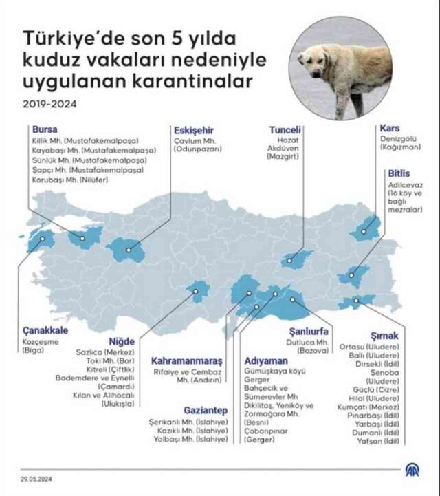 Türkiye'de kuduz vakaları 2024! Türkiye'de kuduz vakası en son ne zaman görüldü?
