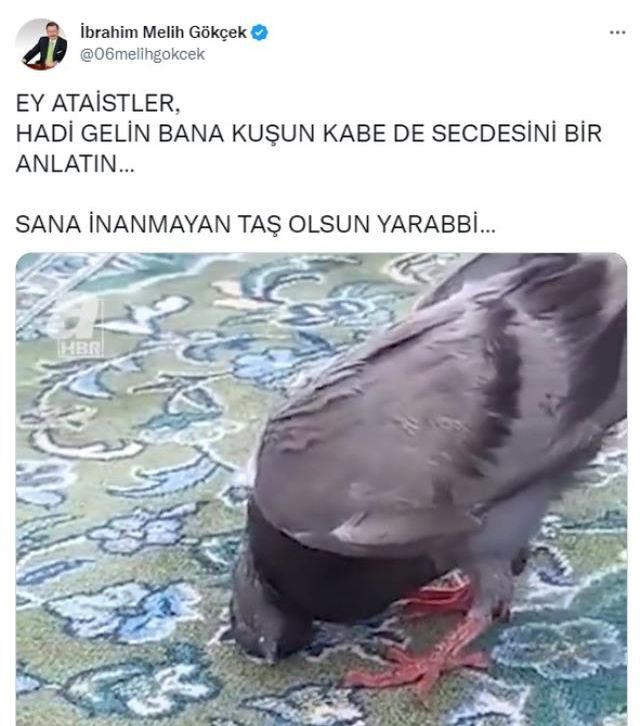 Kabe'de güvercinin secde ettiği yalanına Melih Gökçek de kandı