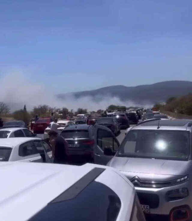 İzmir'in 5 ilçesinde orman yangını! Bakan Yumaklı bölgeye gidiyor