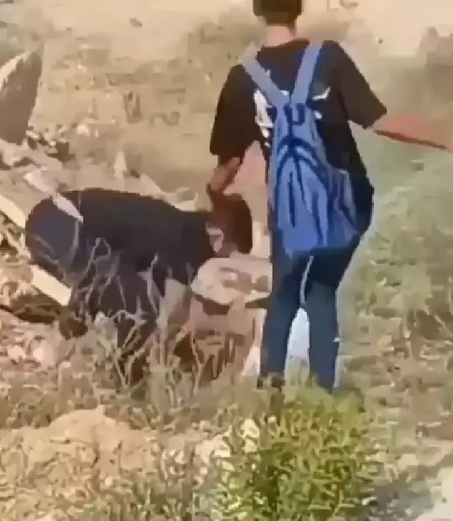 Lise önünde tekmeli yumruklu kavga kamerada