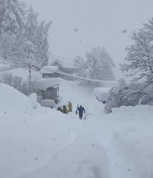 Japonya'da etkili olan şiddetli kar yağışında bilanço ağırlaşıyor: 17 ölü, 90 yaralı