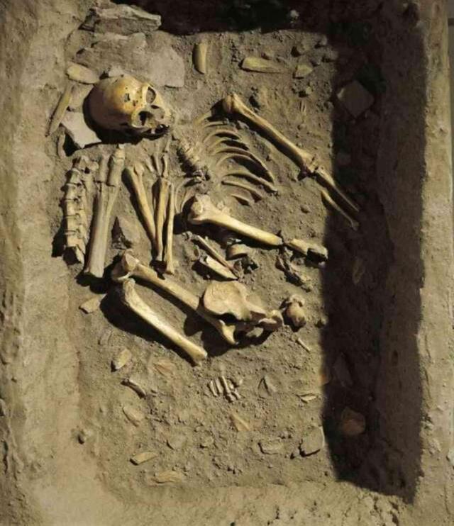 50.000 yıllık Neandertal kemiklerinde bugün hala insanları etkileyen üç virüs keşfedildi