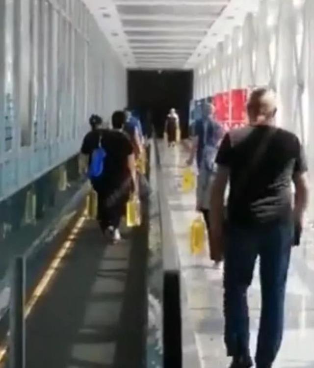 Bulgarlardan sonra şimdi de Gürcüler! Türkiye sınırına girip litre litre yağ götürdüler