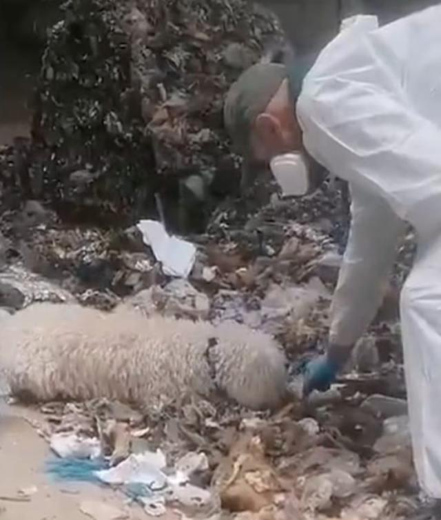 Yeni doğan bebeğini parçalayıp çöpe atan anne tutuklandı