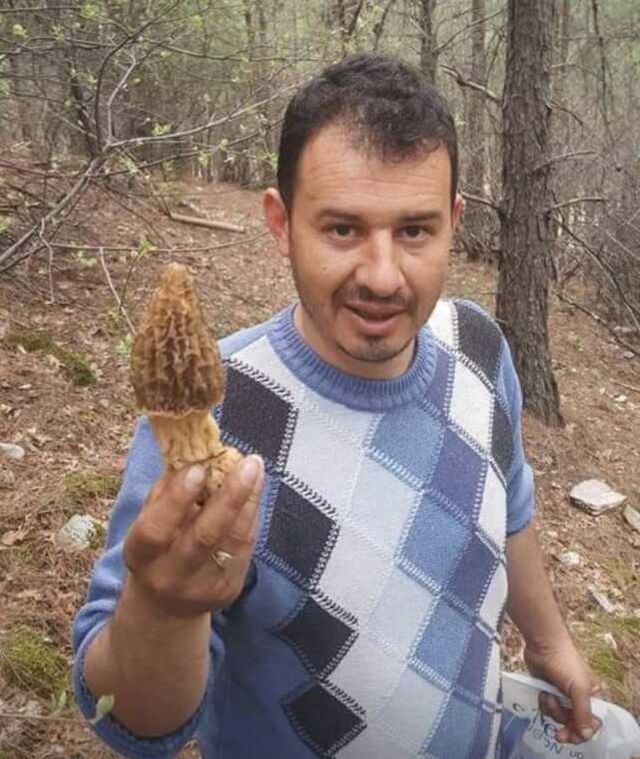 Fiyatı 700 lirayı bulan kuzugöbeği gelir kapısı oldu
