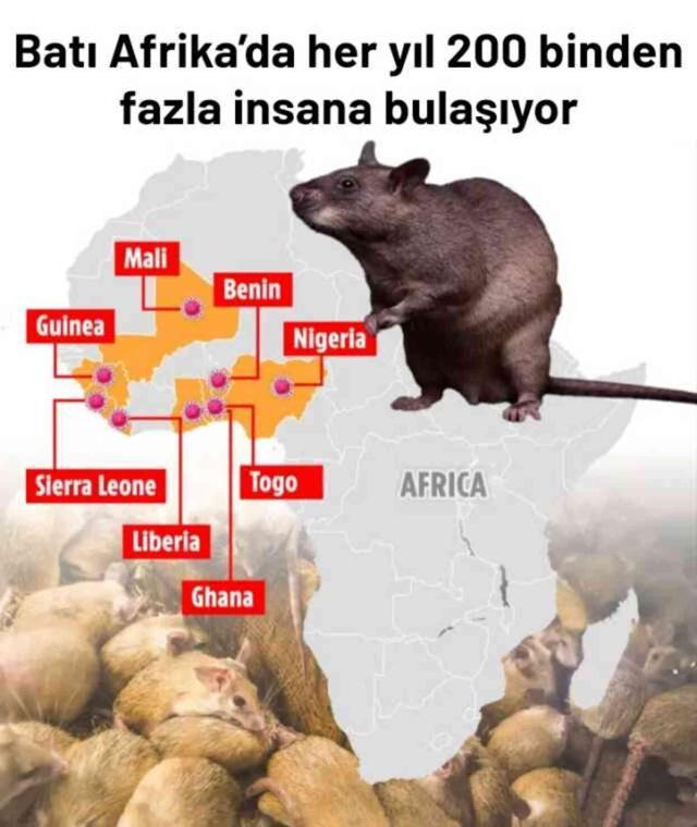 Paris'te Ebola benzeri belirtiler gösteren ve gözlerden kan gelmesine neden olan Lassa ateşi vakası tespit edildi