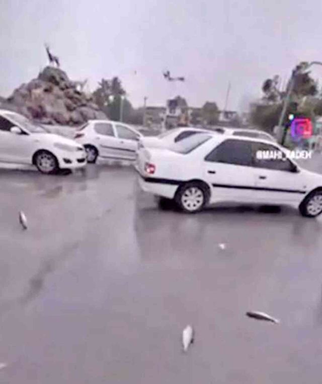 İran yaşanan şiddetli yağış esnasında gökten canlı balık yağdı yağdı