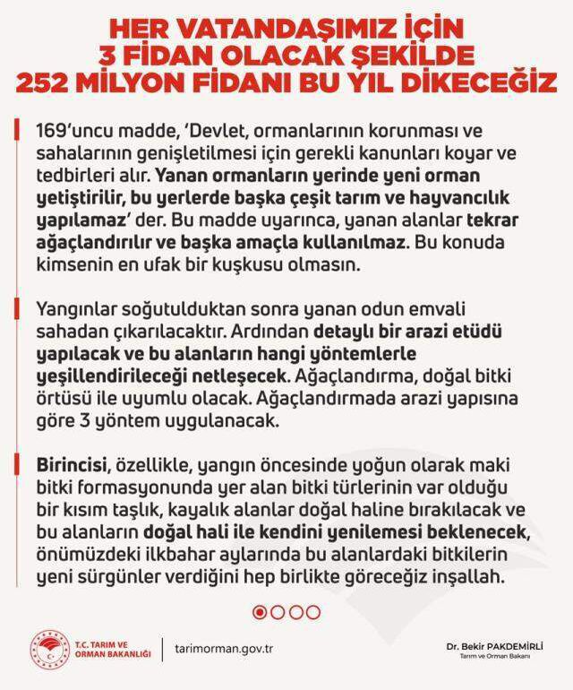 Son Dakika: Türkiye'de 28 Temmuz itibarıyla başlayan büyük orman yangınlarının tümü kontrol altına alındı