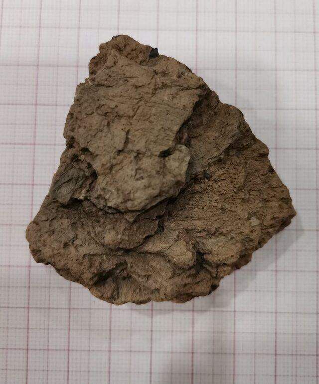 Nuh'un Gemisi'nin indiği yerde arkeologlar tarafından yapılan keşif heyecan yarattı: 7 bin yıl önce de yaşamışlar