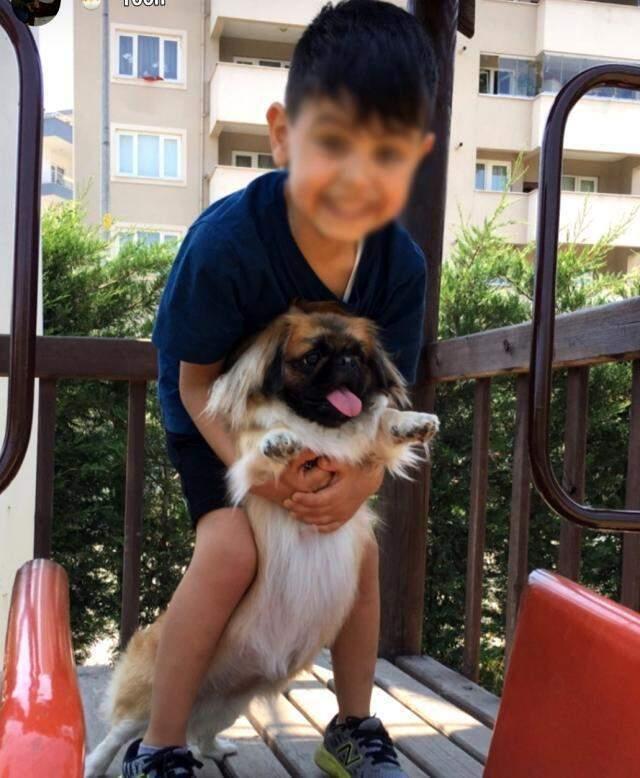 Yeğenini ezen hala gözyaşları içinde olayla ilgili konuştu: Şaka yapıyor sandım, ama kan vardı