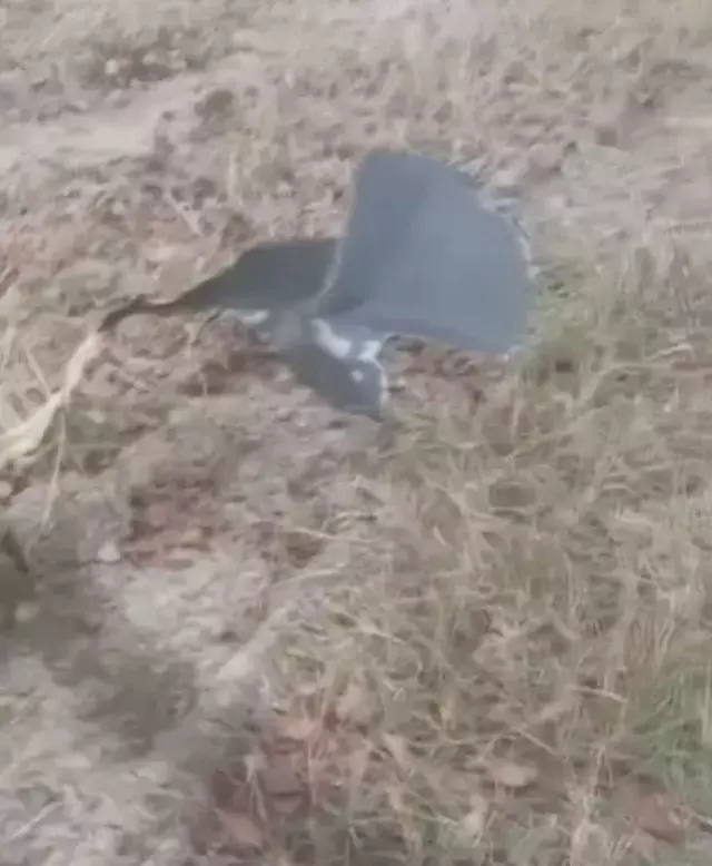 Gürcistan'da düşen askeri kargo uçağının parçalarına ulaşıldı