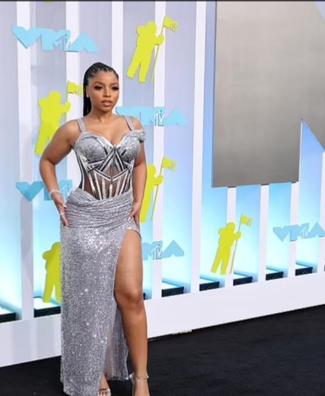 MTV Müzik Ödülleri'nde ünlü şarkıcılar ödüllerini aldı