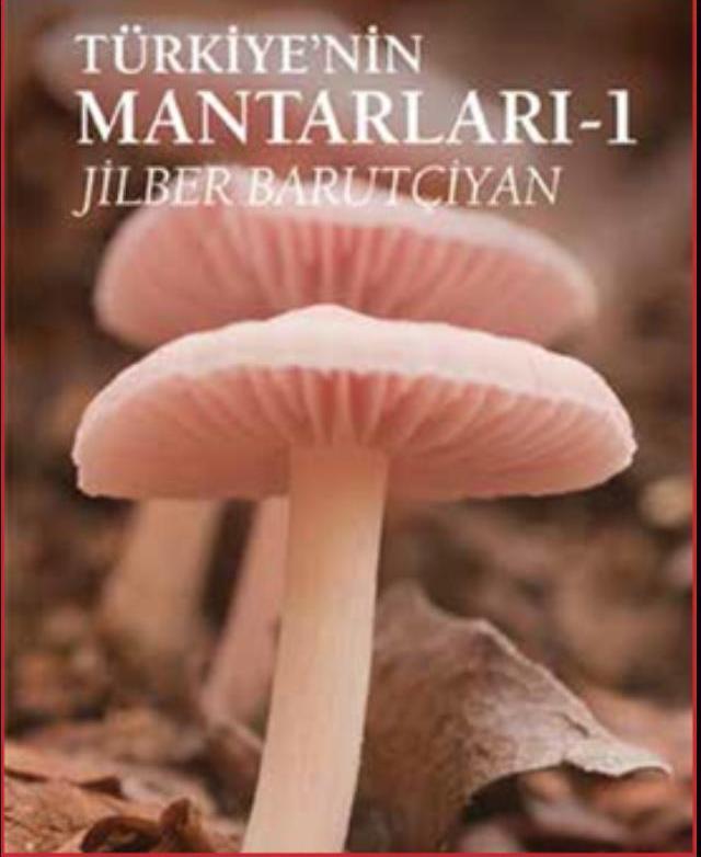 Kuşadası sokak festivali için geri sayım başladı