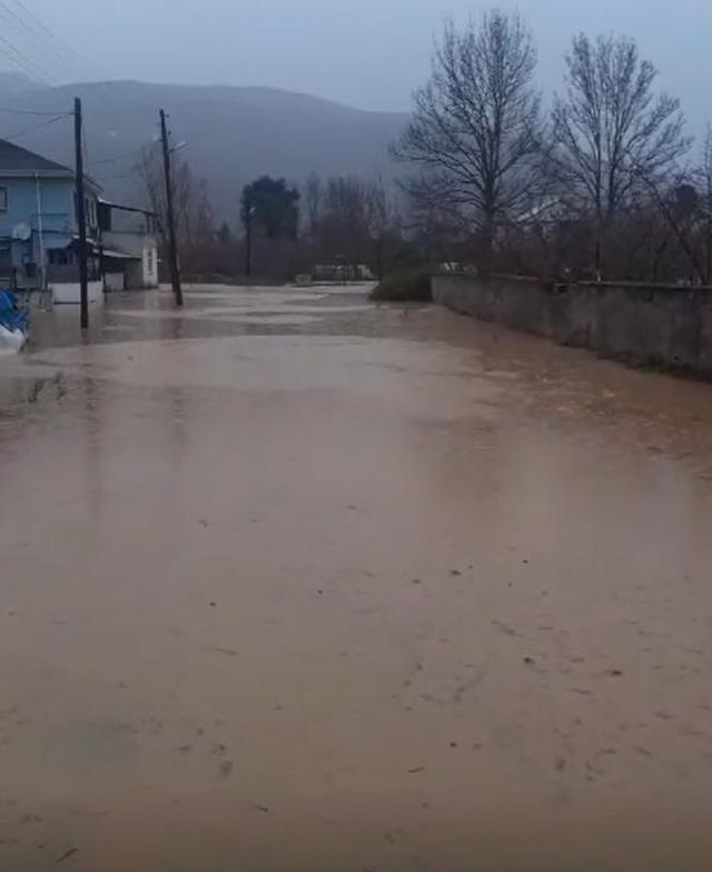 Düzce'de Sağanak Yağış Sonucu Evleri Su Bastı