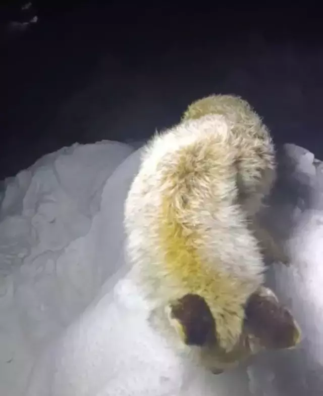 Yıllarca anlatılan efsane gerçek oldu