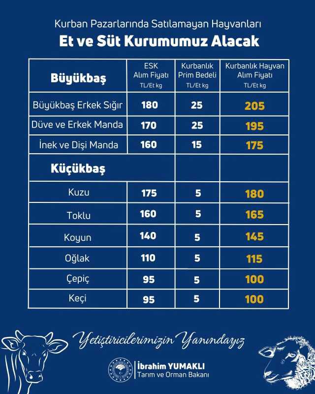 Son Dakika! Kurban pazarlarında üreticinin elinde kalan kurbanlıklar, Et ve Süt Kurumu tarafından satın alınacak