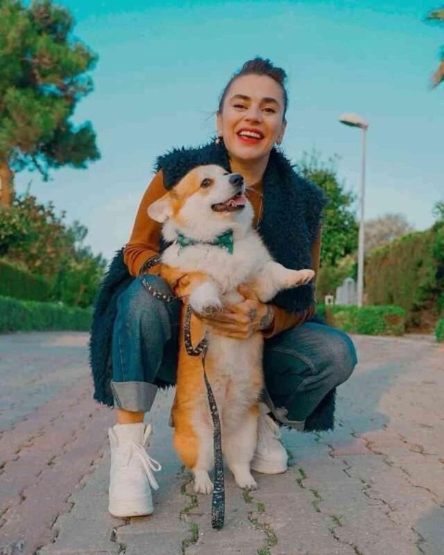 Sokak hayvanlarıyla ilgili düzenlemeyi gören Ceylan Ertem tehditler savurdu